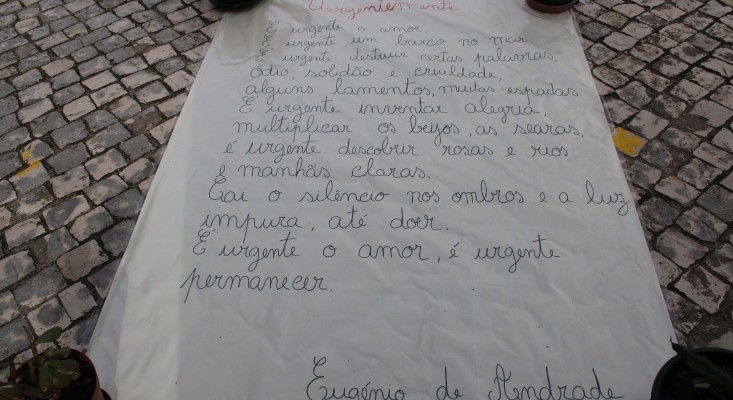 Dia do Agrupamento | 19/11/2025 - 21.º Aniversário